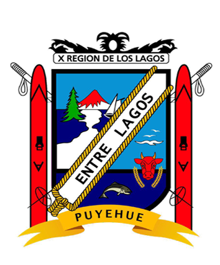 Escudo-Puyehue-con-logo-pie-de-pagina-1-1-1